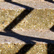 noimg 48 80 80 GROUP CALL IN TO AUTHOR