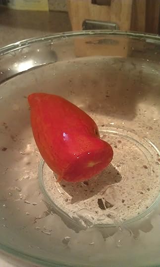 Blog photo 6