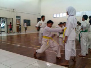Latihan Karate