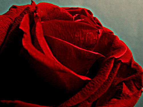 Its a Wordless Song in the Depth of My Soul by -RejiK via Flickr