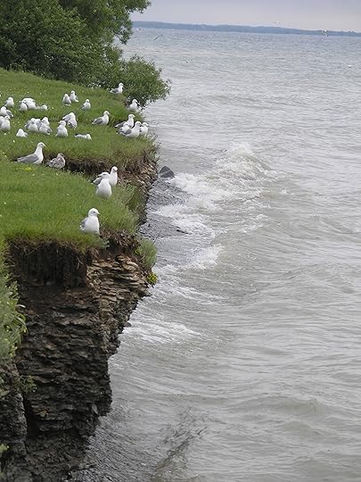 Shore of Lake Ontario near Brighton