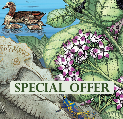 Sept2013SpecialOfferLogo