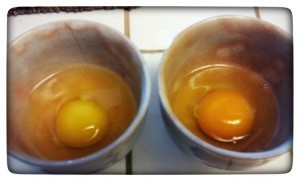 Two eggs, one store-bought and one fresh from a farm.