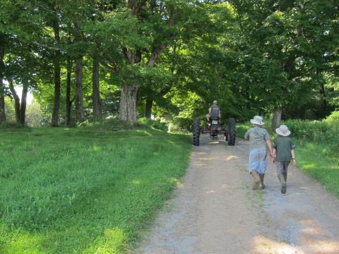 The boys are so devoted to me, they follow me everywhere 