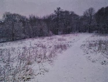 clip_image002