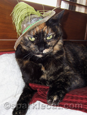 I'm embarrassed to say she looked better in it than I did.