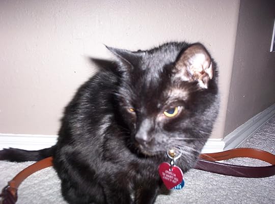 Ophelia Reluctantly Poses