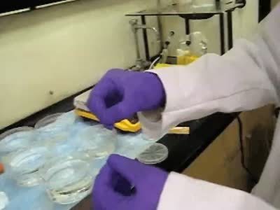 Graphene I-Corps Movie