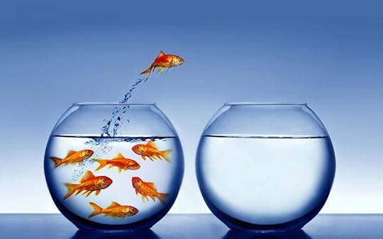 leaping_goldfish