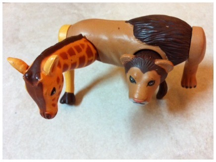 mixed up animal