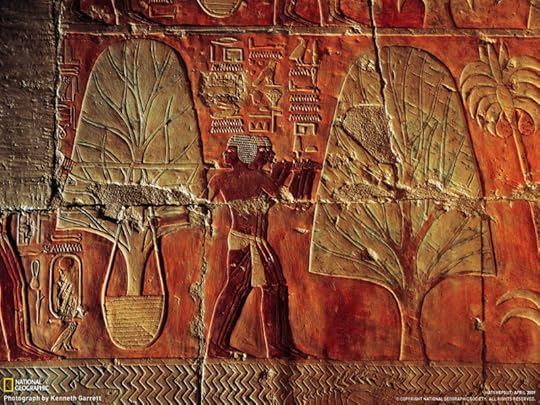 Myrrh trees being planted in an Egyptian garden