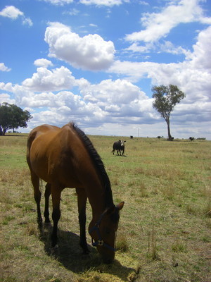 First in first served