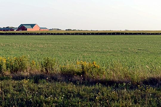 DSC_4523