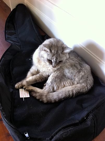 Albert has the guitar case all to himself