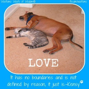 loveIMG 4825 290x290 Woofisms: Woofs of Wisdom© funny dog blog