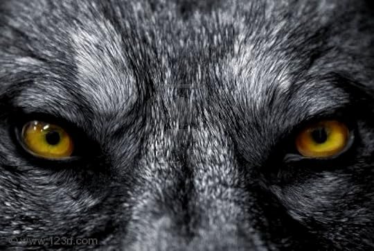 The loup garou (or rou garou) is native to the swamps and bayous of Louisiana, although it migrated there from France.