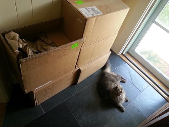 Boxes of books-Stuck by Stacey D. Atkinson