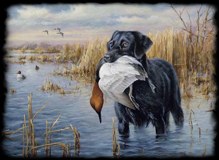 hunting_dog