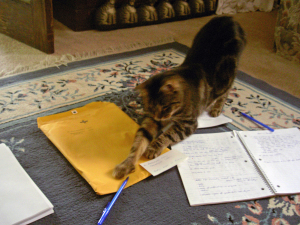 Don't worry--I got this!