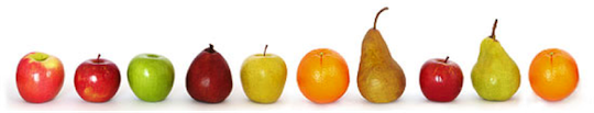 fruit