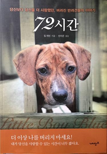 little-boy-blue-korean