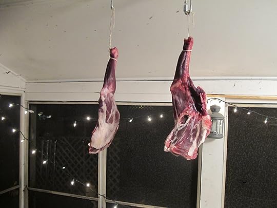 goat hams hang on the back porch