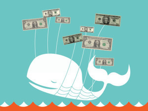 twitter-money