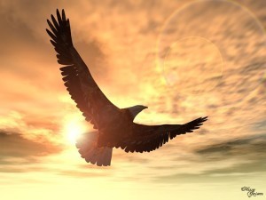 reaching for the skies