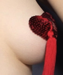A pastie