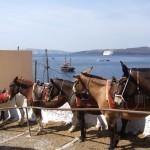 One way to get up around in Fira, Santorini