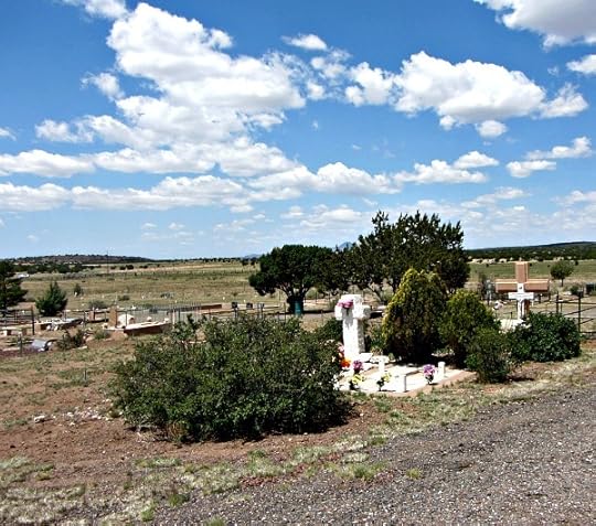 Cemetery cleanup 2 - Carol Cox