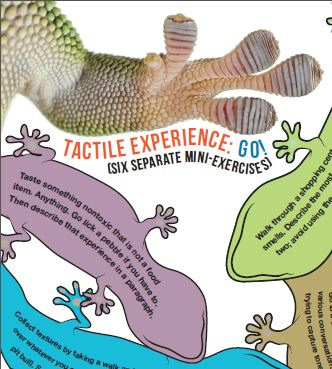 geckos