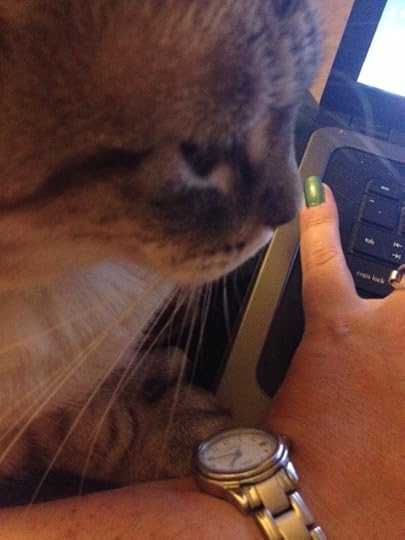 How close Dumbcat is to my typin'-hand. Look at him being a creeper. I think he wants to start his own blog.