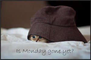 Is Monday Gone Yet