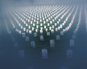 the cem