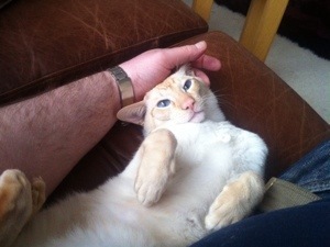 20130513-124053.jpg