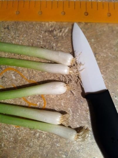 scallions