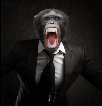 Man in gorilla suit