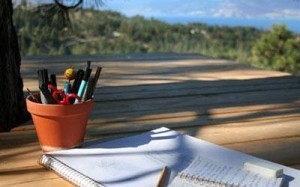 Writinginthe Summer image