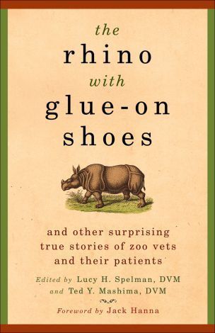 rhino with glue on shoes book cover large The Rhino With Glue On Shoes: A Book Review