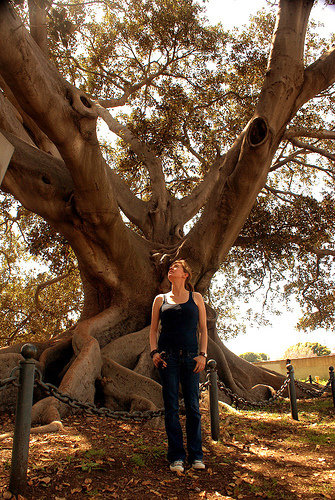 maggie and the giant fig 2