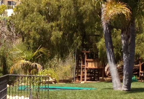 trampoline cropped