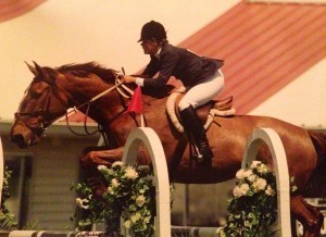 Yes, mom...jumping 5 feet in the air on a one thousand pound animal with a mind of it's own is MUCH safer...