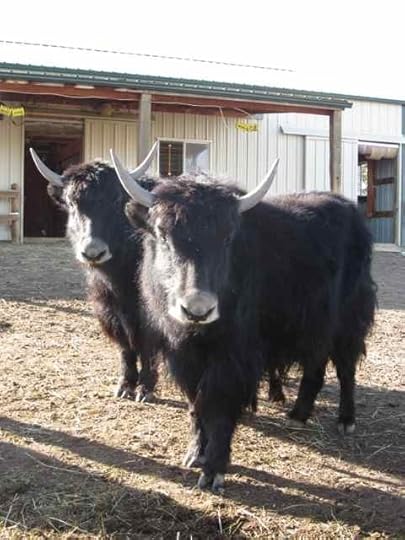 14-Knit-and-Purl_0684