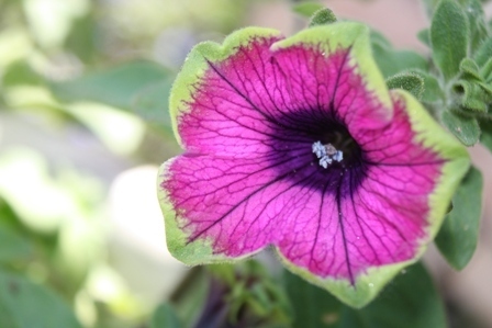 Post image for Sunny Sunday Afternoon