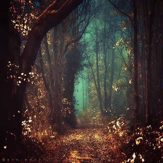 Way of the Wizard by =Oer-Wout