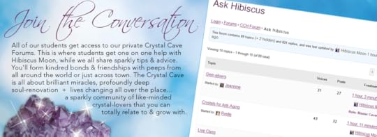 Hibiscus Moon Forum Last Chance Saloon, Crystal Hottie!