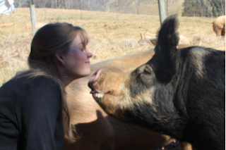 Davids wife and a pig