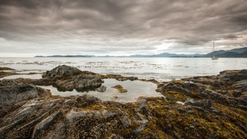 20130727-Haida-Gwaii-7097