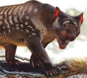 Flick-blade marsupial lion (Illustration: Peter Schouten)